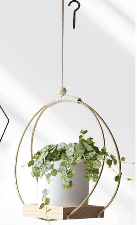 Hearthloop™ Hanging Planter