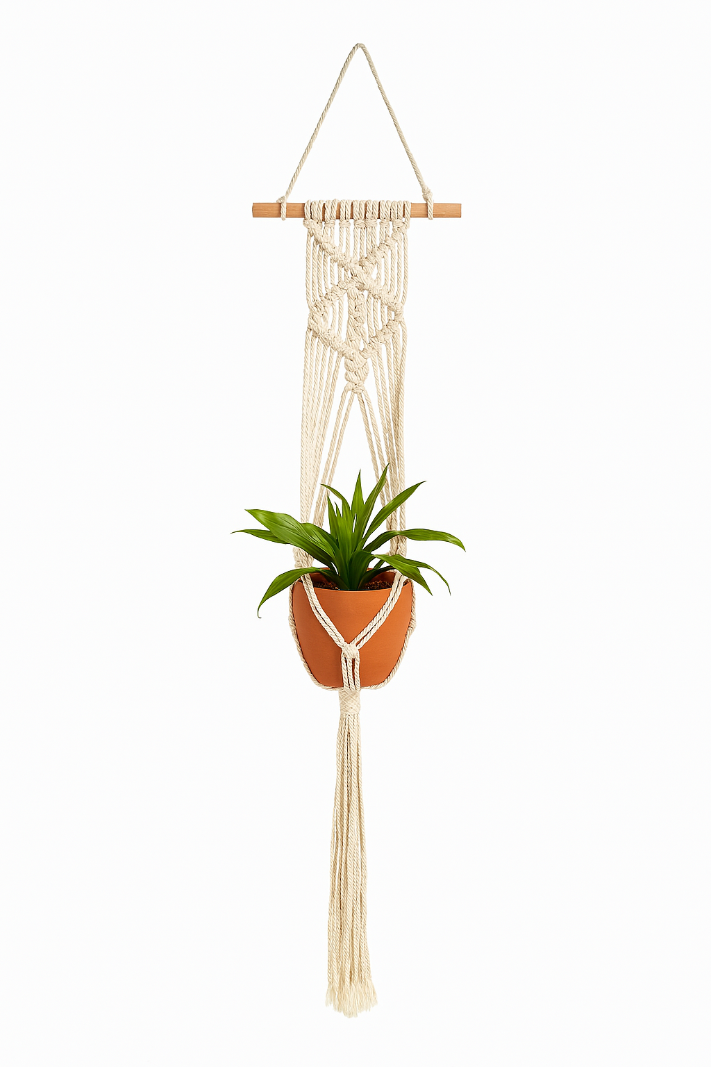 Charlotte™ Macramé Plant Hanger