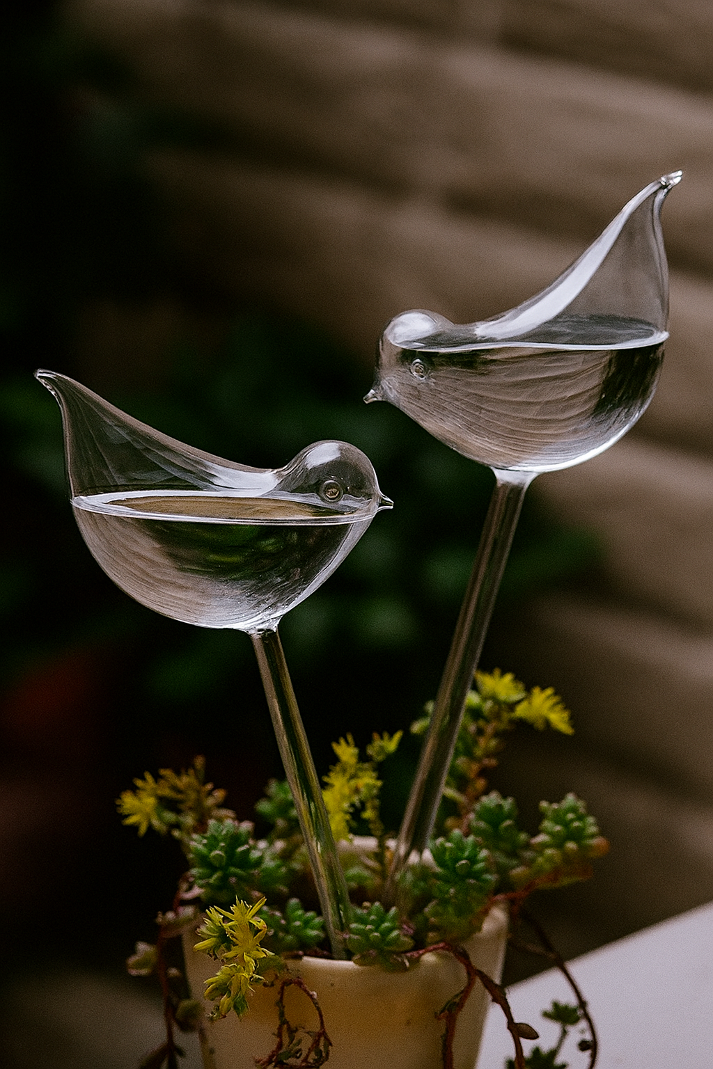 Roost™ Waterbird – Self-Watering Globe for Houseplants